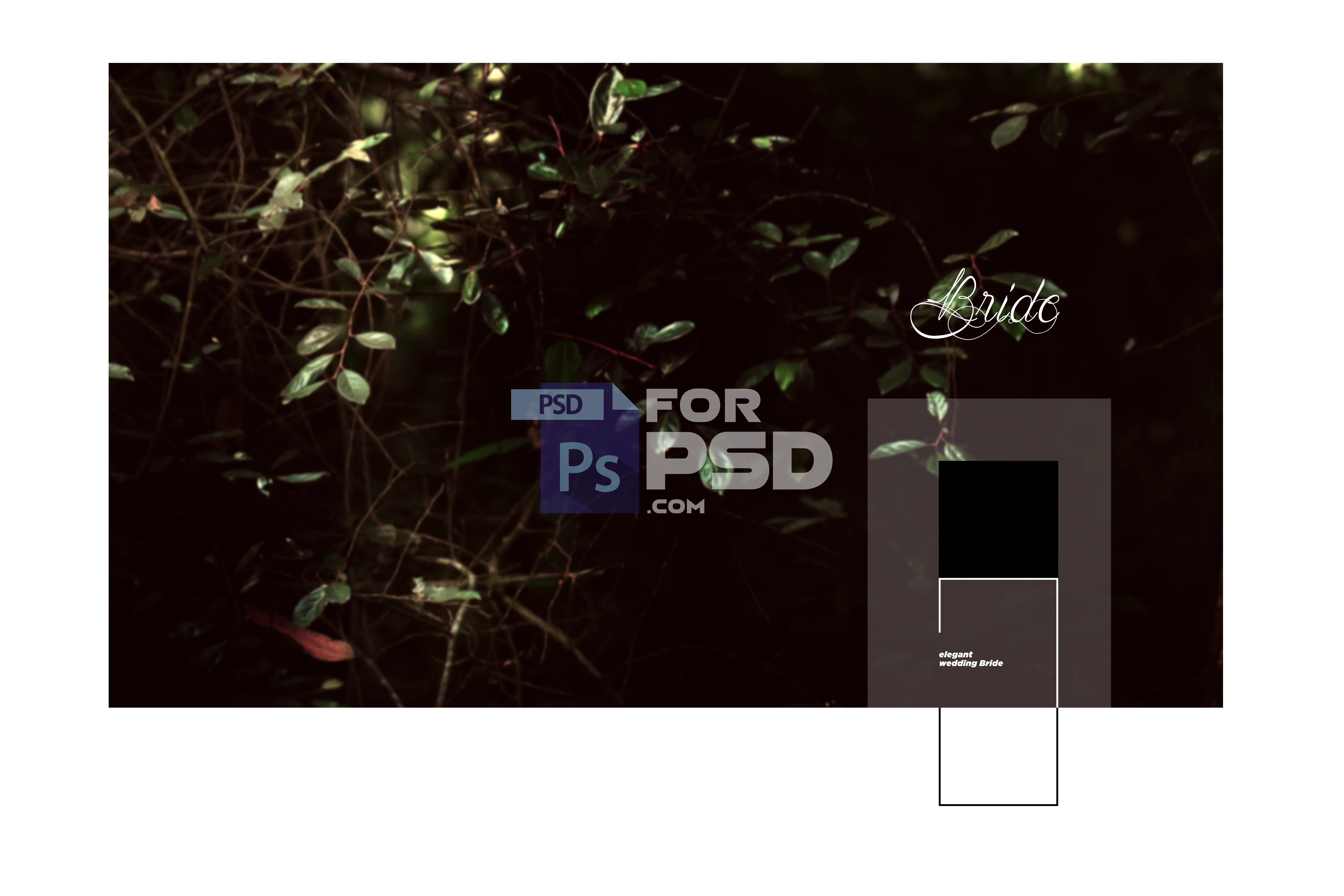 Image Preview